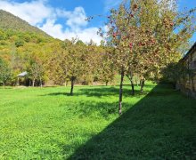 Satılır Torpaq Qəbələ ş. Satılır Torpaq Qəbələ ş.