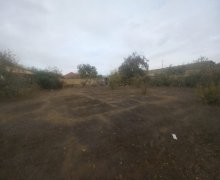 elanlari alqi satqisi elanlari Binəqədi qəs., Binəqədi r.