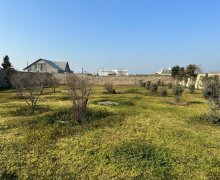 Продажа Участок Шювалан, Хязяр р. Продажа Участок Шювалан, Хязяр р.