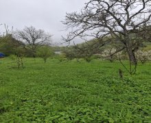 Satılır Torpaq Quba ş.