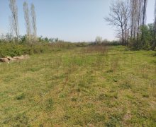 Satılır Torpaq Xaçmaz / Xudat ş.