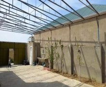 Satılır Həyət evi/villa Saray, Abşeron r.