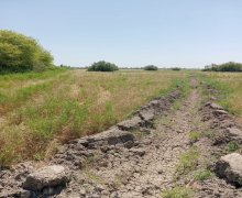 elanlari alqi satqisi elanlari Kürdəmir ş.