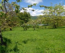 ismayillida torpaq alqi satqisi İsmayıllı ş.