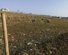 rayonlarda torpaq alqi satqisi Mehdiabad, Abşeron r.