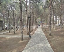 xirdalanda aylıq arendaya kafe Xırdalan ş.