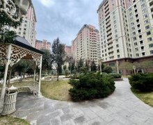 Kiraye aylıq evler Elmlər akademiyası m., Yasamal r.