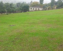 Satılır Torpaq Lerik ş. Satılır Torpaq Lerik ş.