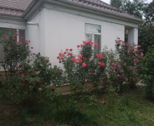 Kirayə (günlük) Həyət evi/villa Qusar ş.