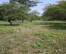 Satılır Torpaq Masazır, Abşeron r.