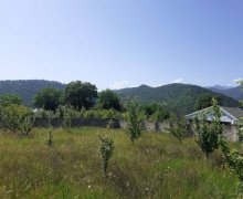 qebelede torpaq alqi satqisi Qəbələ ş.