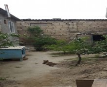 Satılır Həyət evi/villa Hövsan qəs., Suraxanı r. Satılır Həyət evi/villa Hövsan qəs., Suraxanı r.