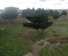 rayonlarda torpaq alqi satqisi Goradil, Abşeron r.