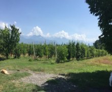 kreditle torpaq alqi satqis Qəbələ ş.