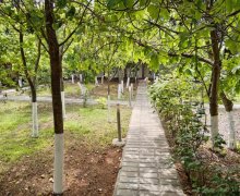 Satılır Torpaq Mərdəkan, Xəzər r.