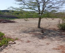 Satılır Torpaq Şüvəlan, Xəzər r.