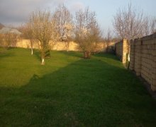 Satılır Torpaq Qəbələ ş.