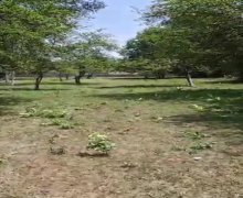 Satılır Torpaq Masazır, Abşeron r.