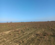 Satılır Torpaq Qusar ş.