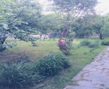 Kirayə (günlük) Həyət evi/villa Qax ş. Kirayə (günlük) Həyət evi/villa Qax ş.