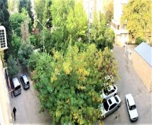 Satılır Köhnə Tikili Elmlər akademiyası m., Yasamal r.