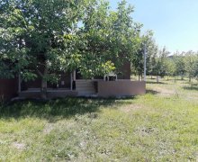ismayilli günlük Bağ evi İsmayıllı ş. ismayilli günlük Bağ evi İsmayıllı ş.