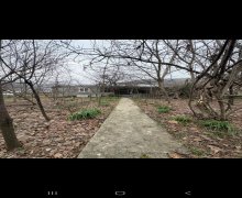 Kirayə (aylıq) Həyət evi/villa Şəki ş.