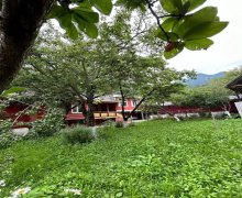 Kirayə (günlük) Bağ evi Qax ş.