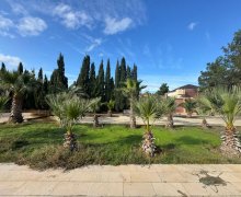 Satılır Torpaq Mərdəkan, Xəzər r.