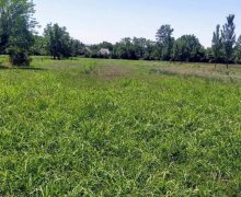 Satılır Torpaq Qəbələ ş.