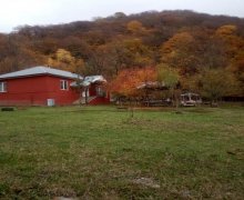 Kirayə (günlük) Həyət evi/villa Qəbələ ş.