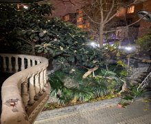 Kirayə (aylıq) Həyət evi/villa Gənclik m., Nəsimi r.