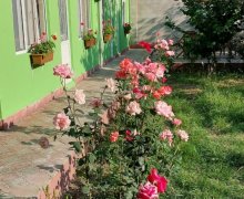 Kirayə (günlük) Bağ evi Quba ş. Kirayə (günlük) Bağ evi Quba ş.