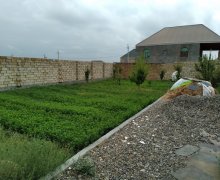 Satılır Torpaq Gəncə ş.