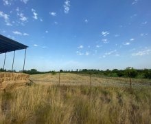 xacmazda torpaq alqi satqisi Xaçmaz ş.