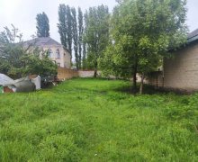 qebelede torpaq alqi satqisi Qəbələ ş.