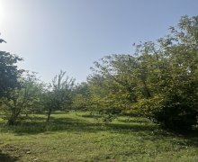 Продажа Участок Гябяля г.