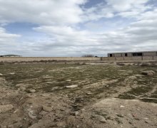 Satılır Torpaq Pirşağı qəs., Sabunçu r.