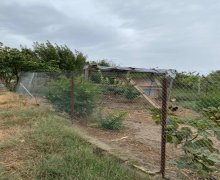 rayonlarda torpaq alqi satqisi Hökməli, Abşeron r.