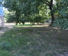 kreditle torpaq alqi satqis Şəki ş.