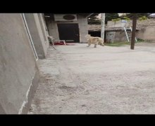elanlari alqi satqisi elanlari Koroğlu m., Xəzər r.