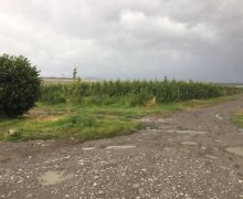 kreditle torpaq alqi satqis Qəbələ ş.