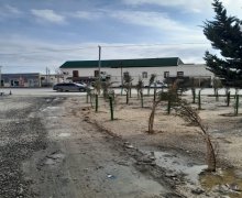 Satılır Torpaq Koroğlu m., Zabrat qəs., Sabunçu r. Satılır Torpaq Koroğlu m., Zabrat qəs., Sabunçu r.