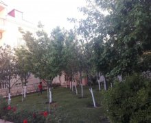 Kirayə (aylıq) Həyət evi/villa Novxanı, Abşeron r.