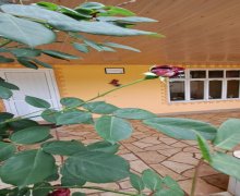 Kirayə (günlük) Həyət evi/villa Qusar ş.