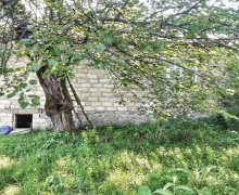 Satılır Həyət evi/villa Qəbələ ş. Satılır Həyət evi/villa Qəbələ ş.