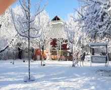 Kirayə (günlük) Həyət evi/villa Qəbələ ş.