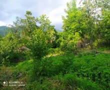 qebelede torpaq alqi satqisi Qəbələ ş.