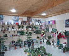 Kirayə (aylıq) Ofis Qəbələ ş.