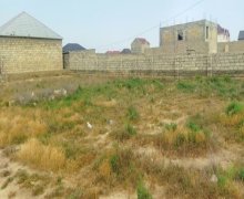 rayonlarda torpaq alqi satqisi Məhəmmədli, Abşeron r.